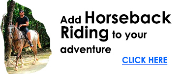 Book Atvs and horseback riding from Cancun  