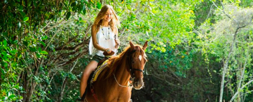 Horse back riding tour from riviera Maya 