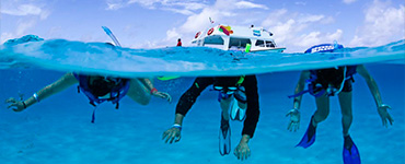 Isla Mujeres tour from Cancun