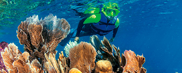 Jungle tour and Snorkeling tour