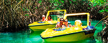 image-name Jungle Tour and Snorkeling